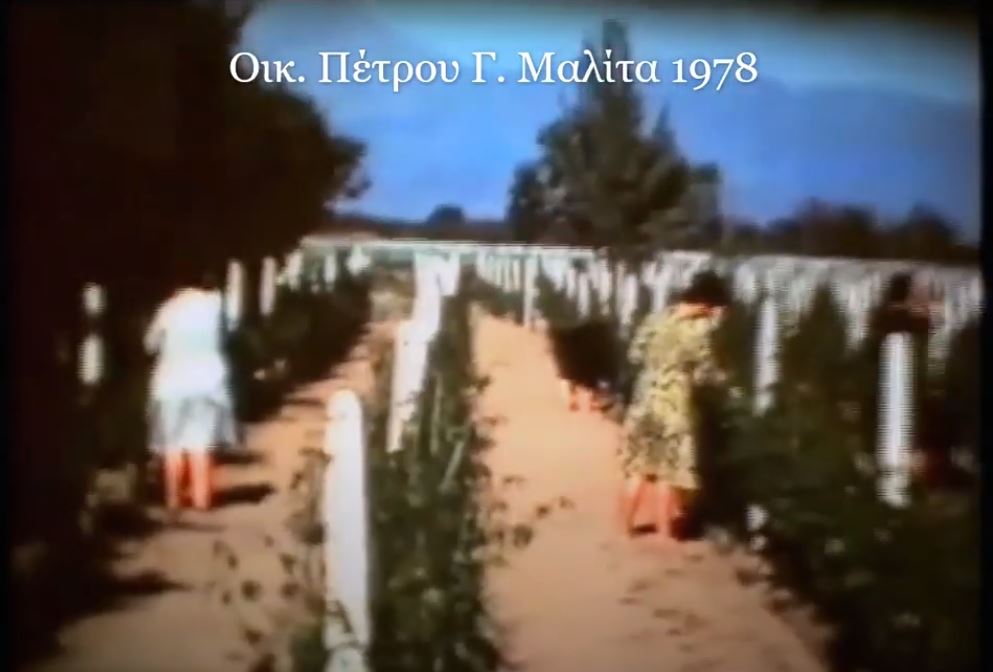 1ο Βίντεο του 1978 από την Οικ. Π. Γ. Μαλίτα