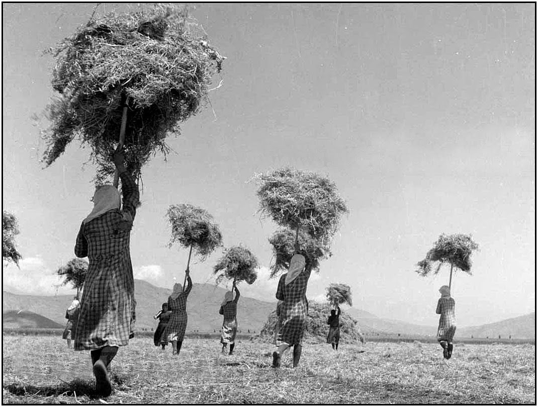 «15η Οκτωβρίου: Παγκόσμια Ημέρα Γυναίκας Αγρότισσας» πίσω από το φακό του Τάκη Τλούπα