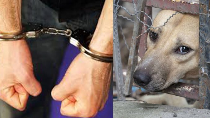 Μ. Βορίδης: Μετατροπή του αδικήματος του βασανισμού ζώων σε κακούργημα