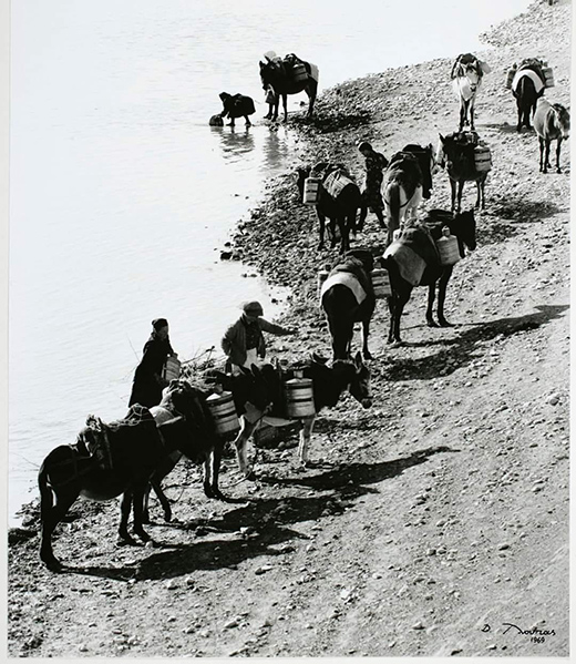 Ανεφοδιασμός νερού έξω από τον Τύρναβο, προς το Δαμάσι. 1969 Τλούπας
