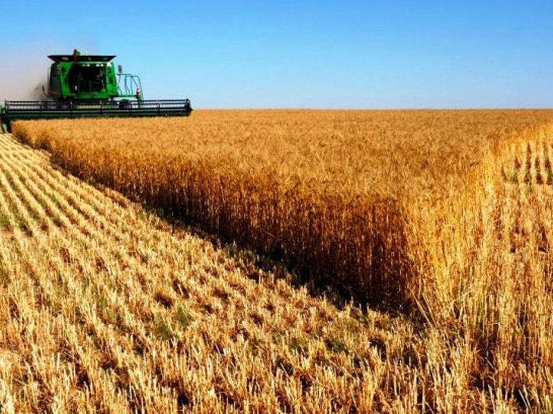 Ανακοίνωση της Δ/ΝΣΗ Αγροτικής Οικονομίας Π.Ε. ΛΑΡΙΣΑΣ για τα σιτηρά