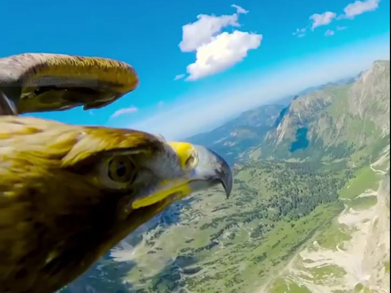 Οι Άλπεις από πολύ ψηλά μέσα από τα μάτια ενός αετού (βίντεο)