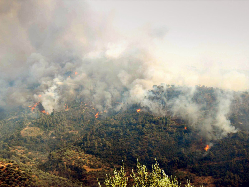 Περίπου 200.000 στρέμματα κάηκαν στην Ελλάδα το 2022 – Η σύγκριση με το περσινό έτος