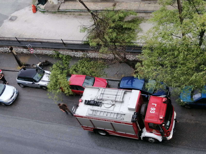 Πτώση δέντρου έξω από το στρατιωτικό νοσοκομείο Λάρισας άμεση επέμβαση της πυροσβεστικής