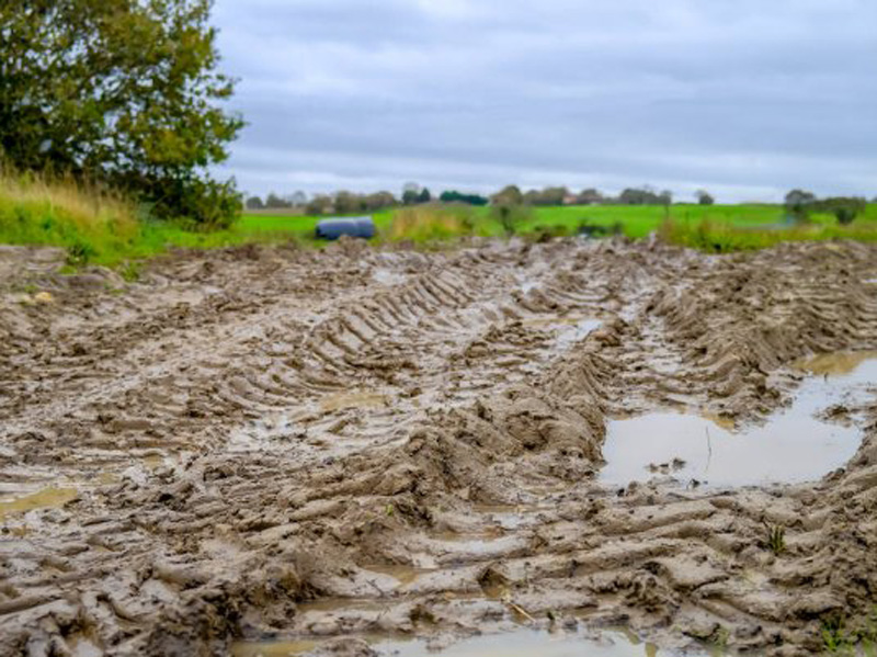 Αγωνία στους αγρότες για τις πιθανές ζημιές σε κτήματα από την χθεσινή καταιγίδα