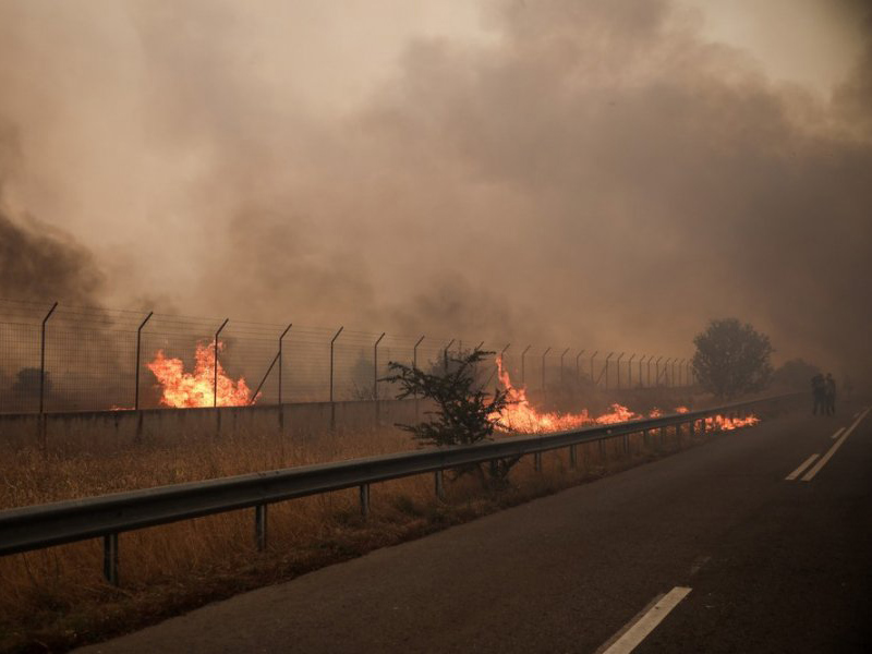56 πυρκαγιές σε εξέλιξη στη χώρα