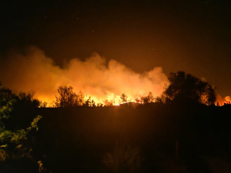 Μαύρο ρεκόρ στην Ελλάδα: Έχουν καεί περίπου 40.000 εκτάρια