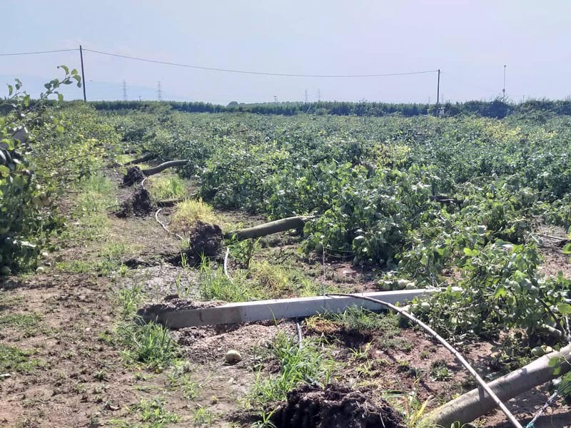 Καταστροφικό χαλάζι έπληξε την περιοχή του Δήμου Τυρνάβου