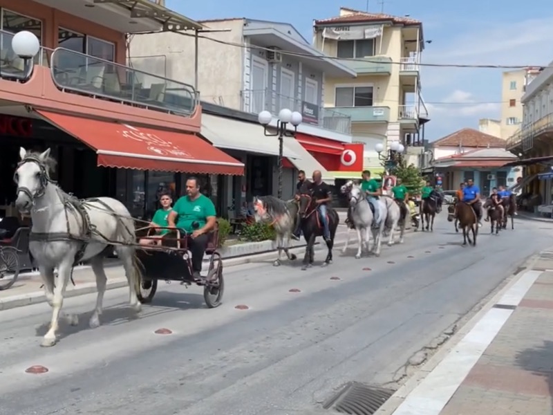 Βίντεο: Η 5η Ιππική συνάντηση ελεύθερης ιππασίας σήμερα στον Τύρναβο