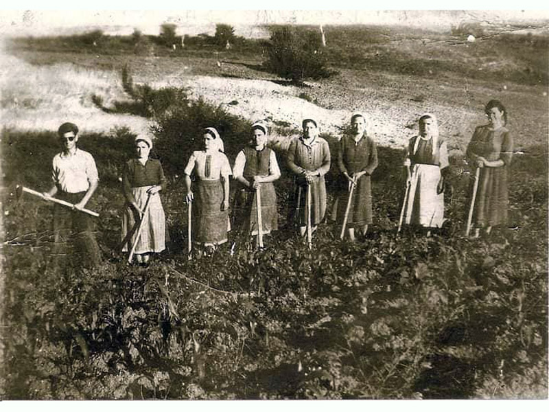 15 Οκτωβρίου: Διεθνής ημέρα αγρότισσας “Το μεγαλείο της ελληνικής υπαίθρου”