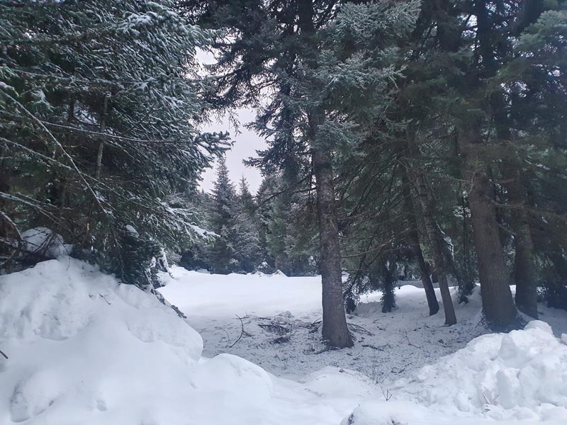 Το TirnavosPress σας ταξιδεύει στο χιονισμένο Περτούλι Τρικάλων (βίντεο-φώτο)