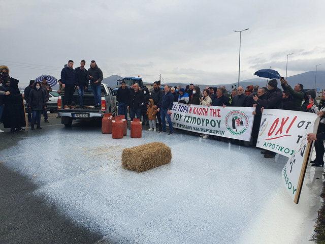 Οι κτηνοτρόφοι στηρίζουν τους αγρότες ρίχνοντας το γάλα τους στο μπλόκο του Τυρνάβου