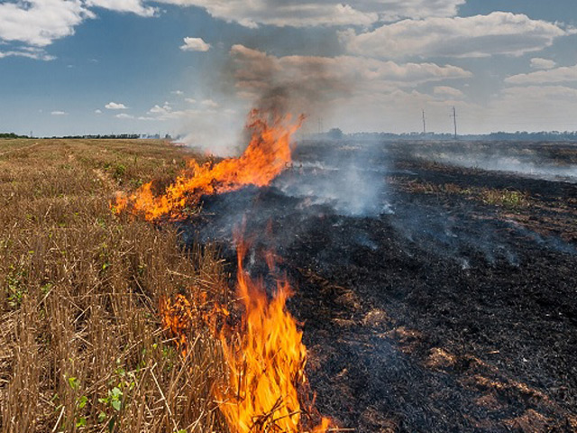 Δύο χρόνια φυλάκιση για φωτιά από αμέλεια σε αγρότη στα Κάτω Βασιλικά Φαρσάλων