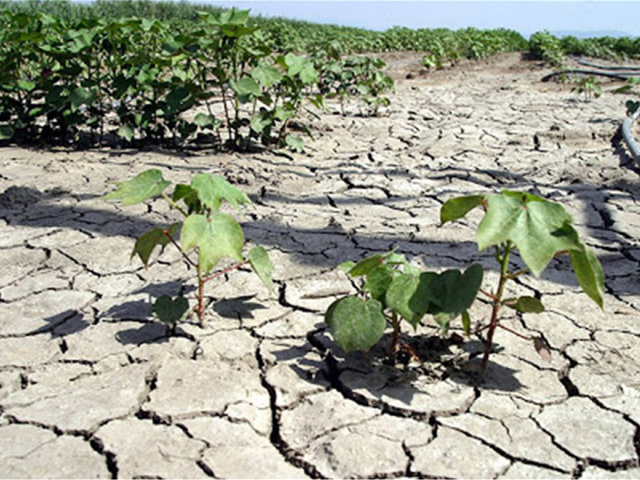 Σύσταση ad hoc ομάδα εργασίας για τον κίνδυνο της ξηρασίας στον αγροτικό τομέα