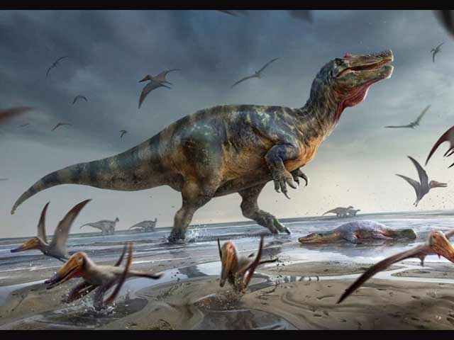 Ανακαλύφθηκε ο μεγαλύτερος σαρκοφάγος δεινόσαυρος στην Ευρώπη