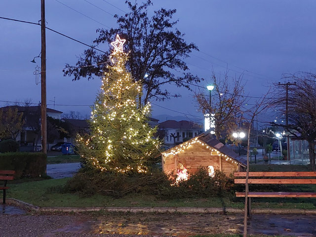 Έγινε η φωταγώγηση του Χριστουγεννιάτικου δέντρου στον Βρυότοπο