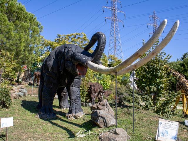 Περιβαλλοντικό πάρκο δεινοσαύρων – Μουσείο Μαμούθ
