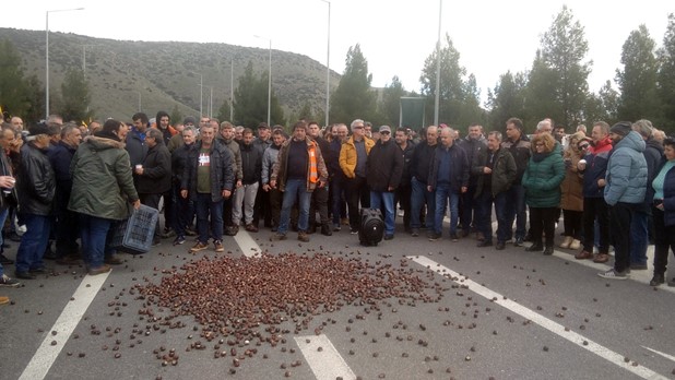 Απέκλεισαν συμβολικά τον κόμβο Γυρτώνης οι καστανοπαραγωγοί