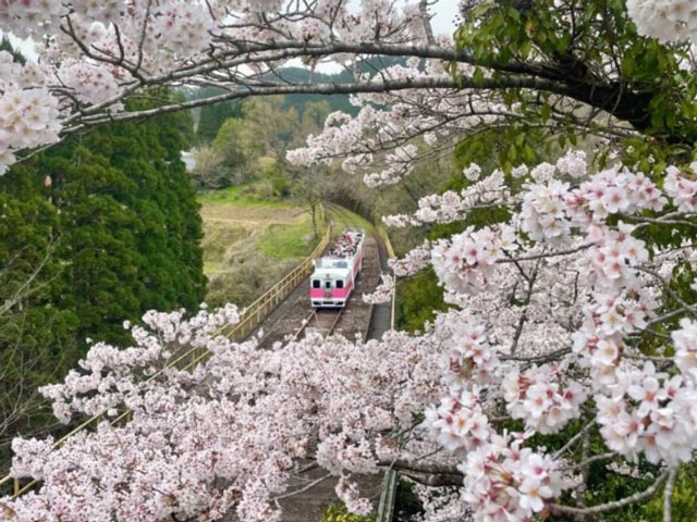 Το ιαπωνικό τρένο που κινείται με ζωμό ramen