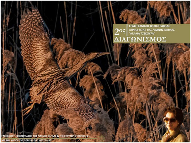 Ξεκίνησε ο 2ος διαγωνισμός ερασιτεχνικής φωτογραφίας άγριας ζωής της λίμνης Κάρλας «Αγλαΐα Τσεκούρα» με την υποστήριξη της Περιφέρειας Θεσσαλίας