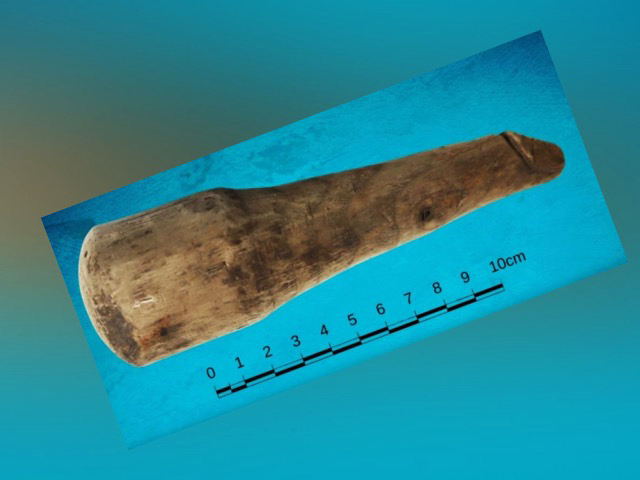 Αρχαίος δονητής βρέθηκε στην Αγγλία – Ξύλινος φαλλός σε φυσικό μέγεθος