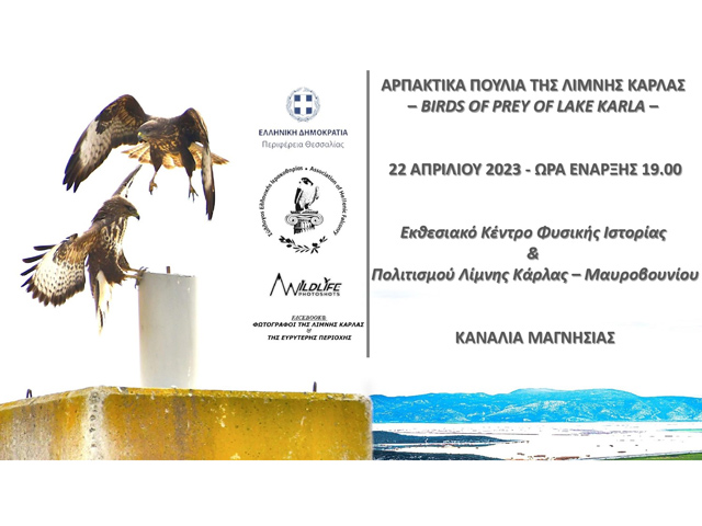 Εκδήλωση για τα αρπακτικά πουλιά της  λίμνης Κάρλας