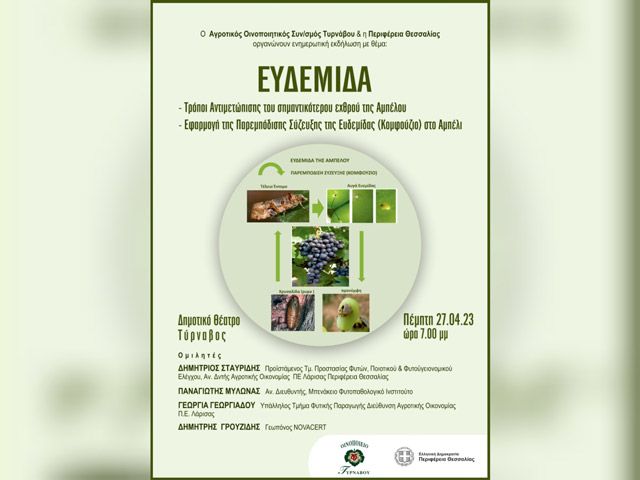 Ο Οινοποιητικός Συνεταιρισμός Τυρνάβου διοργανώνει εκδήλωση με θέμα: Ευδεμίδα