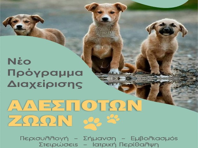 Νέο πρόγραμμα διαχείρισης αδέσποτων ζώων από το Δήμο Ελασσόνας