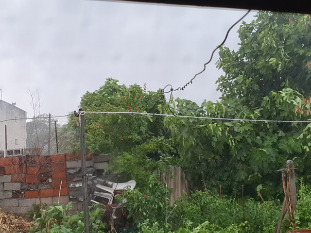 Δυνατή βροχόπτωση με αέρα αυτή τη στιγμή στον Τύρναβο