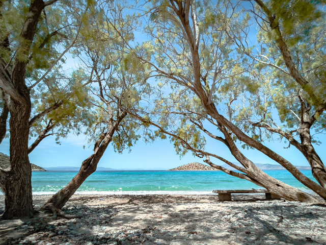 Μαγνησία: Αυτές οι 13 παραλίες είναι ακατάλληλες για κολύμπι