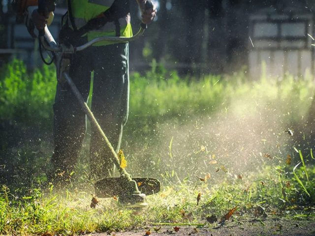 Δήμος Ελασσόνας: «Επιτακτική η ανάγκη αποψίλωσης χόρτων από τους ιδιοκτήτες των οικοπέδων»