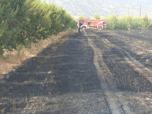 Νέα φωτιά σε χωράφι με καλαμιές στον Τυρναβο