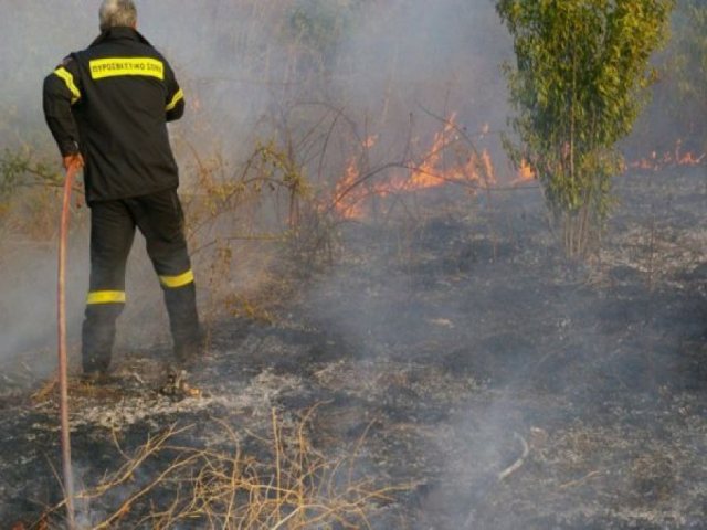 Προληπτικά μέτρα μείωσης του κινδύνου πρόκλησης πυρκαγιάς σε δασικές και αγροτικές εκτάσεις ενόψει της νέας αντιπυρικής περιόδου 2024