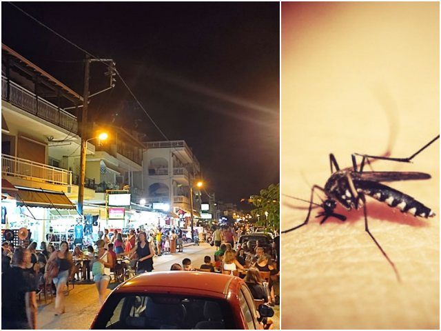 Σοβαρό πρόβλημα με τα κουνούπια στον Πλαταμώνα