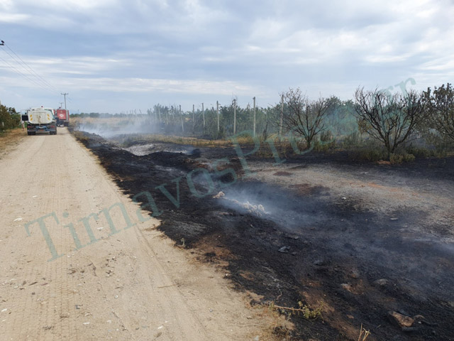 Φωτιά ξέσπασε στην Περαχώρα – Έκαψε 30 στρέμματα ροδάκινα