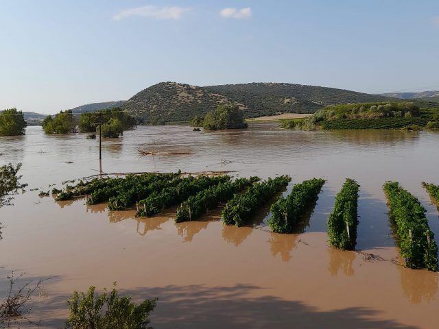 Άμεση καλλιέργεια των πλημμυρισμένων εκτάσεων, ύστερα από την αποστράγγισή τους στόχος του ΕΛΓΟ – ΔΗΜΗΤΡΑ και του ΥπΑΑΤ