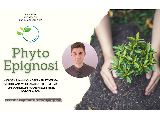 PhytoEpignosi: Δωρεάν πλατφόρμα που οι αγρότες μπορούν να ελέγξουν την τυπική υγεία των καλλιεργειών τους!