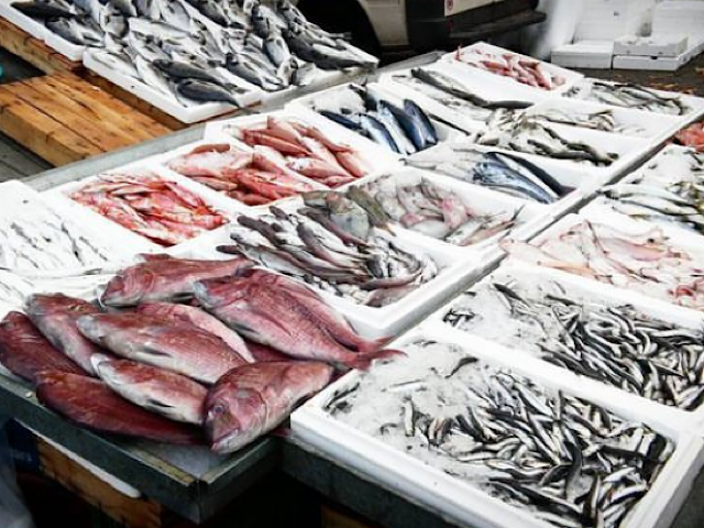 Ανήσυχοι οι πελάτες των ιχθυοπωλείων – Τεράστια πτώση στις πωλήσεις ψαριών μετά τον Daniel