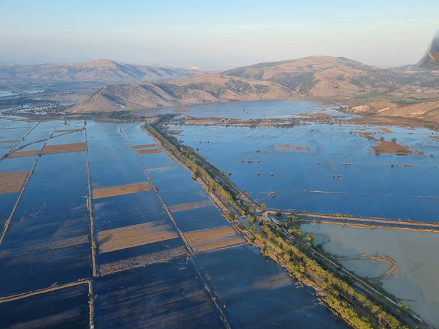 Greenpeace: Θα παρουσιάσει προτάσεις για την αναγέννηση της γεωργίας στην Θεσσαλία