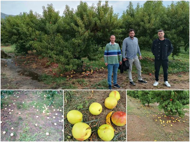 Αγροτικός Σύλλογος Τυρνάβου: Σε απόγνωση οι αγρότες του δήμου μας