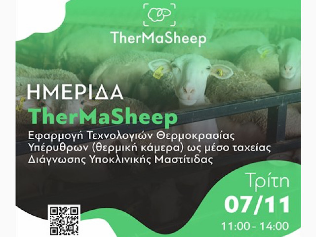 Ενημερωτική ημερίδα του έργου “TherMaSheep” στην Ελασσόνα