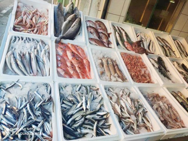 Ασφαλής η κατανάλωση ψαριών από τις ακτές της Θεσσαλίας σύμφωνα με αναλύσεις