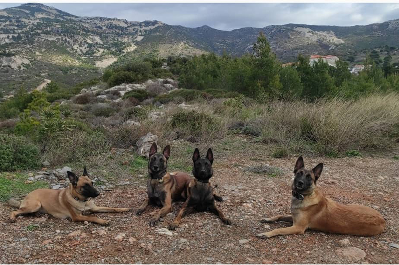 Anubis Cold Case Κ9 team: Η ομάδα που ειδικεύεται στον εντοπισμό αγνοουμένων, ζωντανών ή νεκρών, με εκπαιδευμένους σκύλους