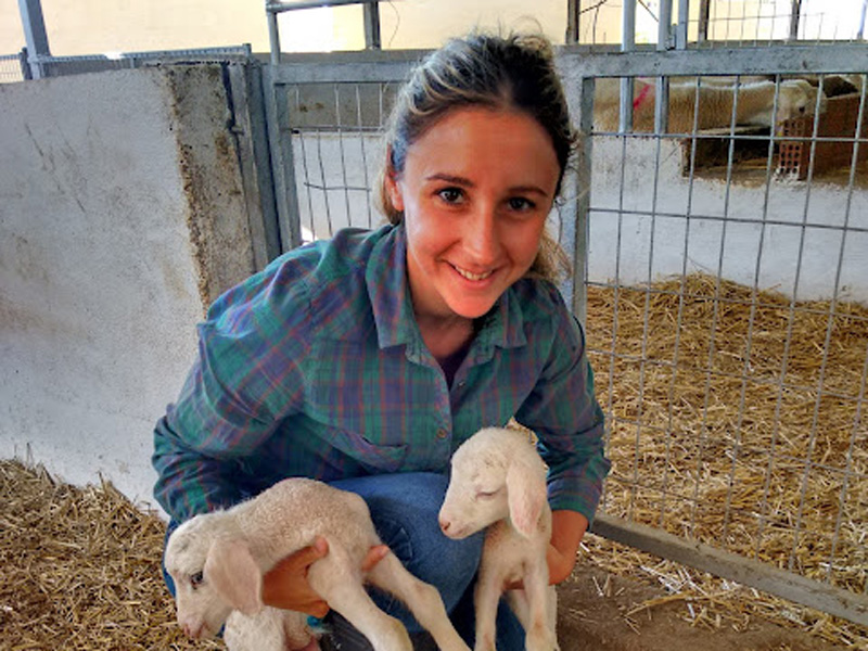 Η 30χρονη Μαριάννα που άφησε το Λονδίνο για να γίνει κτηνοτρόφος στην Ελλάδα