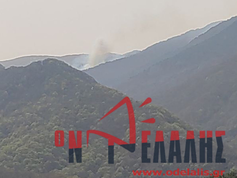 Πυρκαγιά σε δύσβατη δασώδη περιοχή στα Πιέρια Όρη