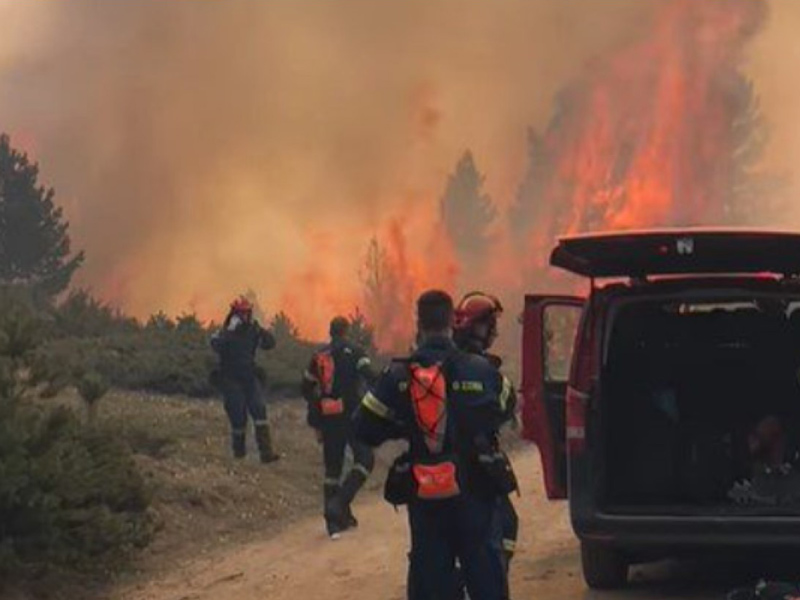 Πιέρια Όρη: Για 3η μέρα πυρκαγιά μετατρέπει σε στάχτη ένα παρθένο δάσος