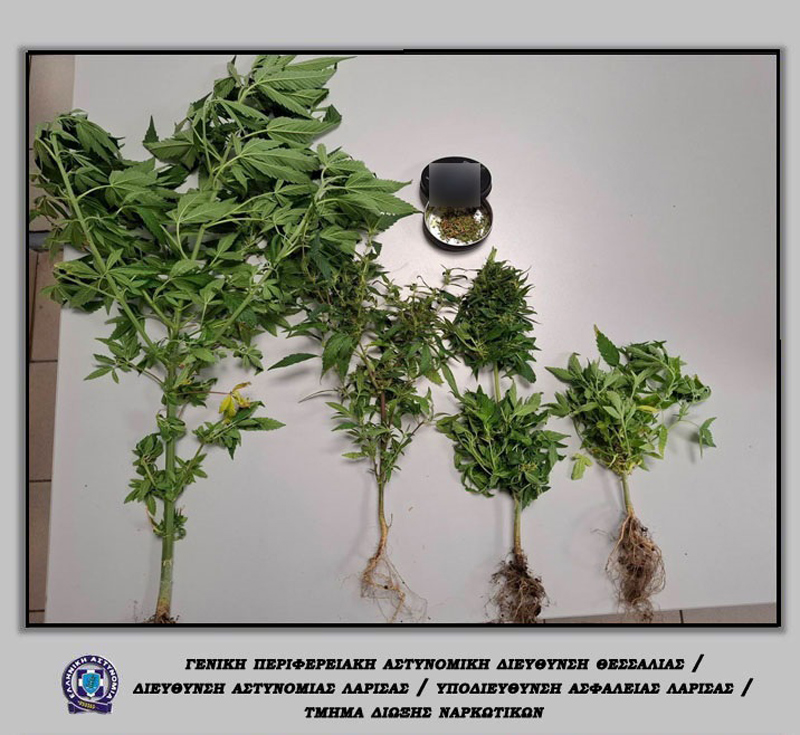 9 ακόμη συλλήψεις για ναρκωτικά κατά το τελευταίο 5ήμερο στη Θεσσαλία
