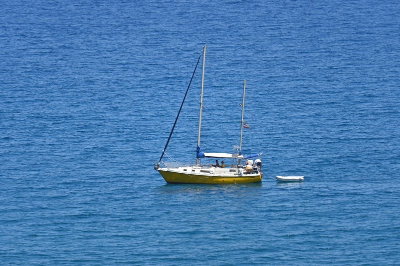 DSC 1484