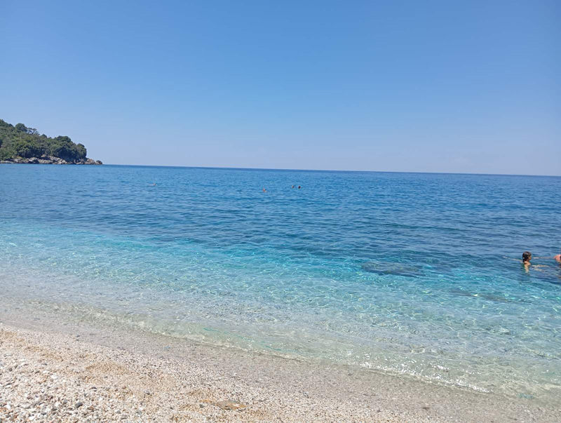 pilio