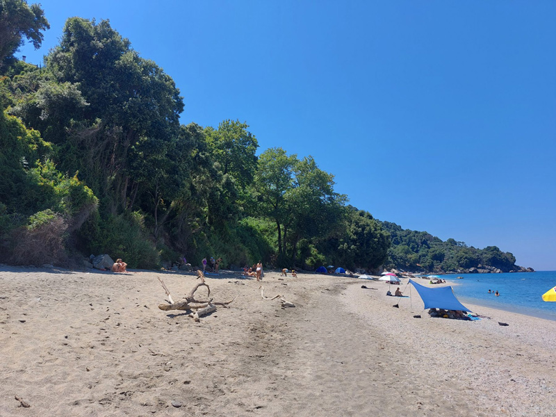 plaka2